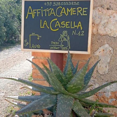 Affittacamere La Casella Монтериджиони Экстерьер фото